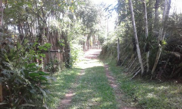 Vende - se sítio em juquià