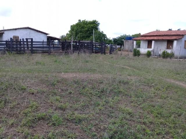Excelente área de terra às margens da BR 116, com 614.196m - Foto 10