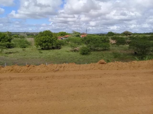 Excelente área de terra às margens da BR 116, com 614.196m - Foto 17