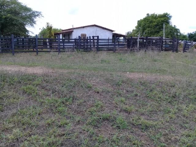 Excelente área de terra às margens da BR 116, com 614.196m - Foto 11
