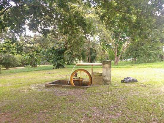 96 alqueires em Goianésia  - Foto 4