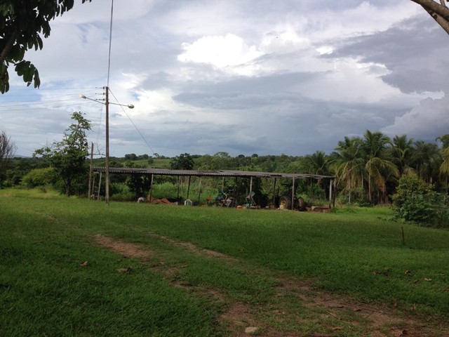 96 alqueires em Goianésia  - Foto 2