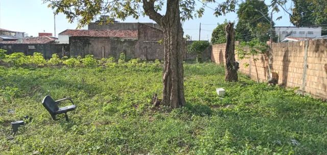 Área com 3000m² na Gruta de Lourdes - Foto 5