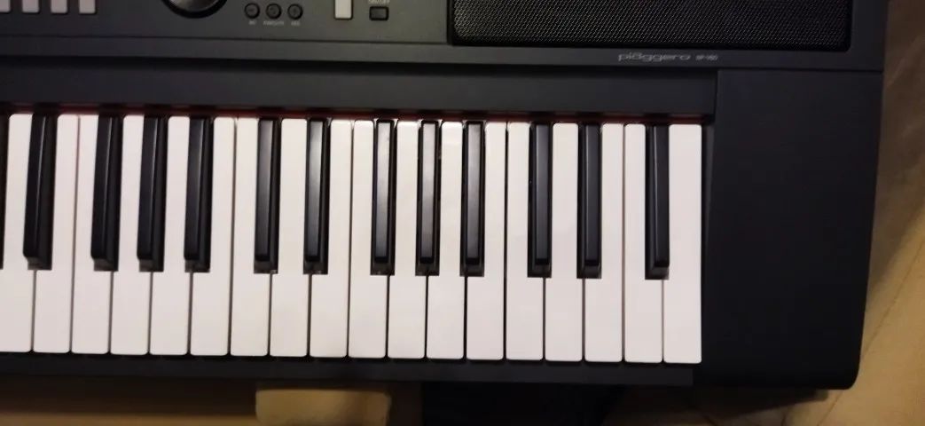 Piano Digital e arranjador Yamaha Piaggero NP V60 76 teclas. Leia