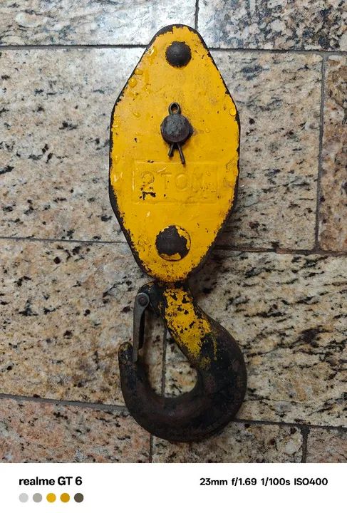 Gancho Moitão para Talha 2 Ton