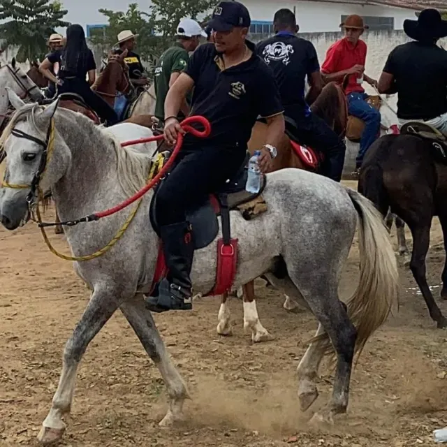 Cavalo MM