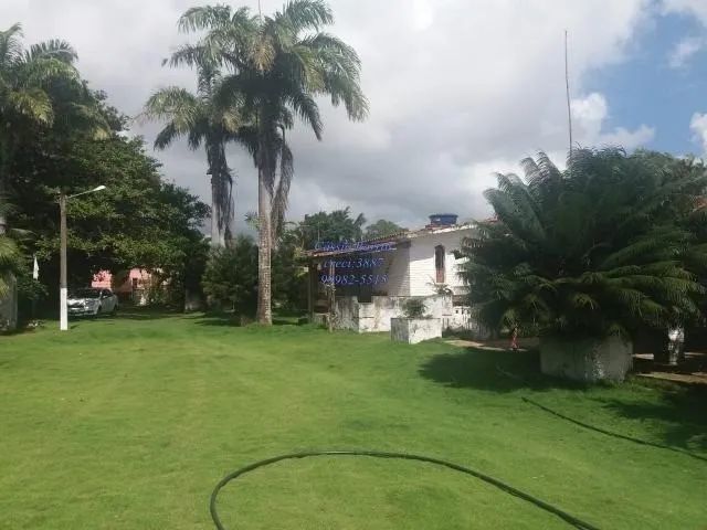 Granja em Pium - Foto 2