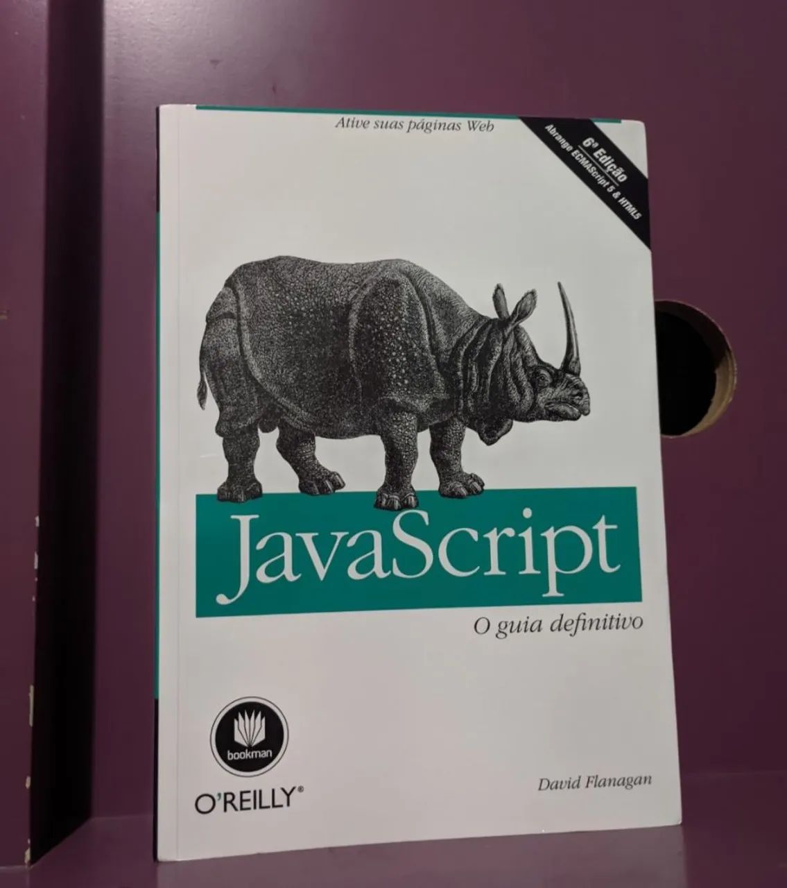 Livro Guia definitivo javascript novo 