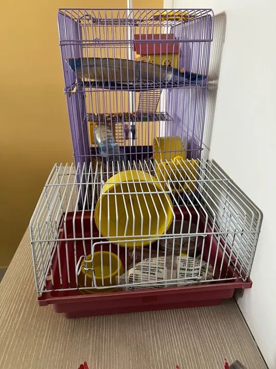 Gaiola para Hamster  - Foto 6