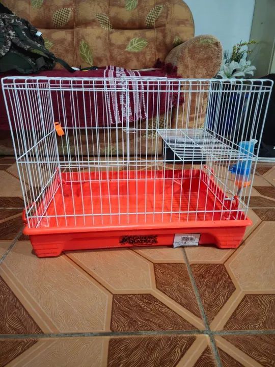 Gaiola Quatiguá - Roedores - Foto 2