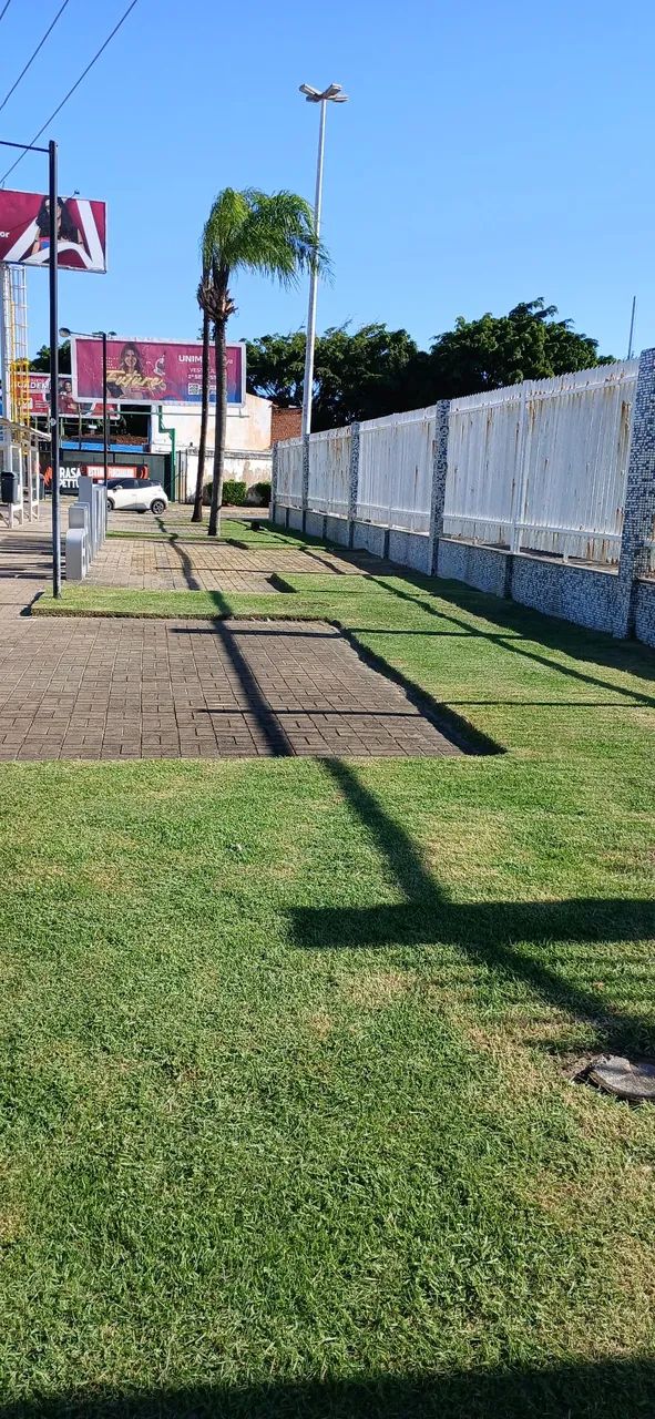 Jardinagem em geral  - Foto 5