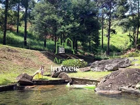 Sítio Maravilhoso! 272.250m² - RR$ 650.000 - Foto 2