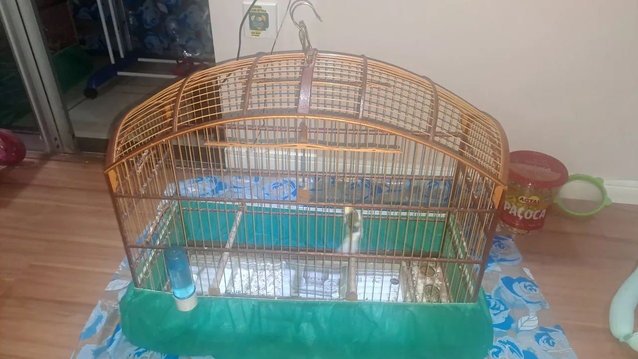 Gaiola abaulada N9 em fibra malha fina para curió bicudo azulão canário coleiro. - Foto 6