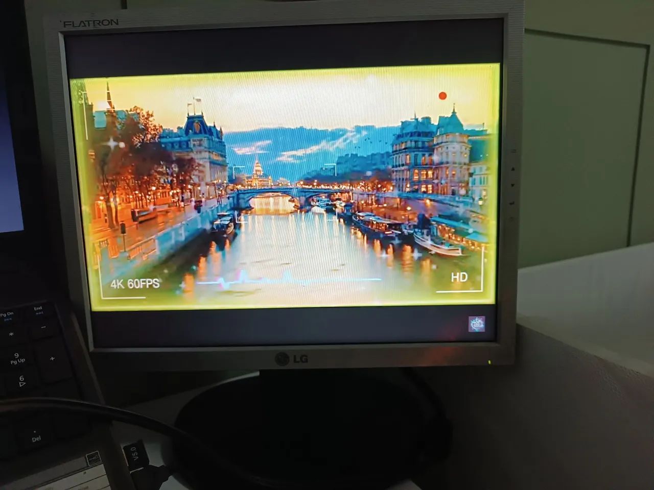 Monitor LG 14"