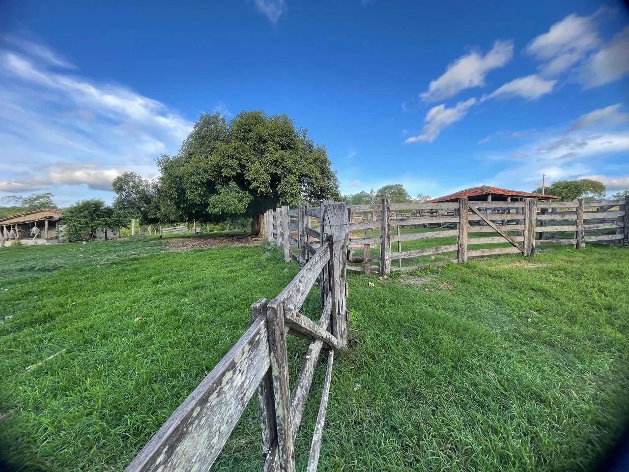 Fazenda em morro agudo