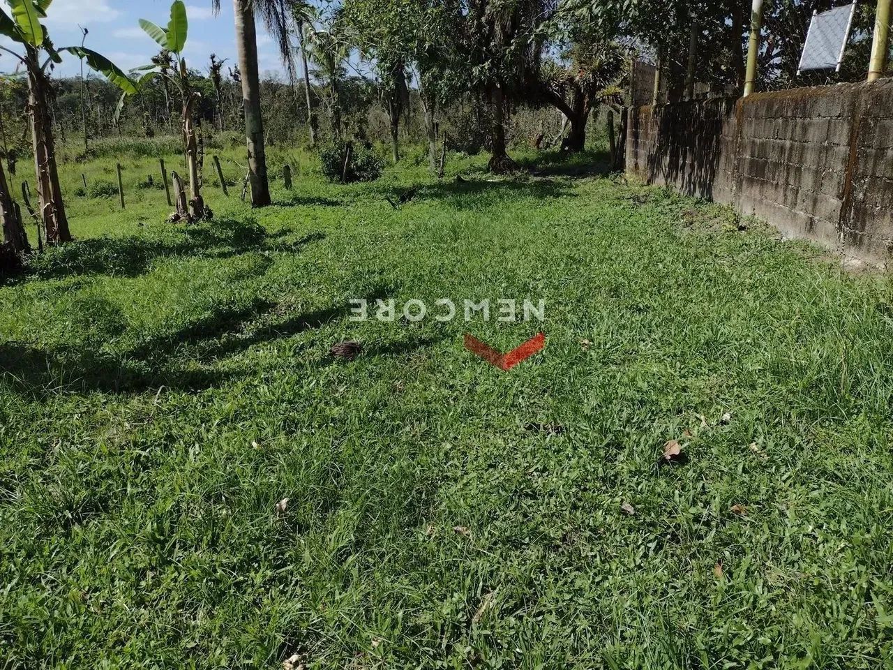 Lote em Estrada do Cajueiro - Antonio Novaes - Peruíbe/SP