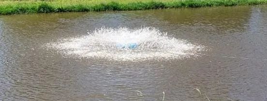 AERADOR  PARA PEIXES 1CV - Foto 4
