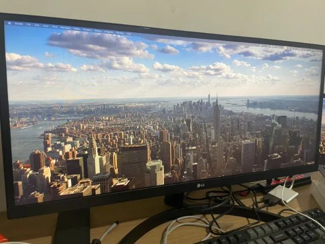 Monitor Ultrawide 29'64289271600769121