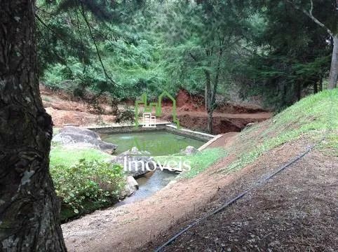 Sítio Maravilhoso! 272.250m² - RR$ 650.000 - Foto 3