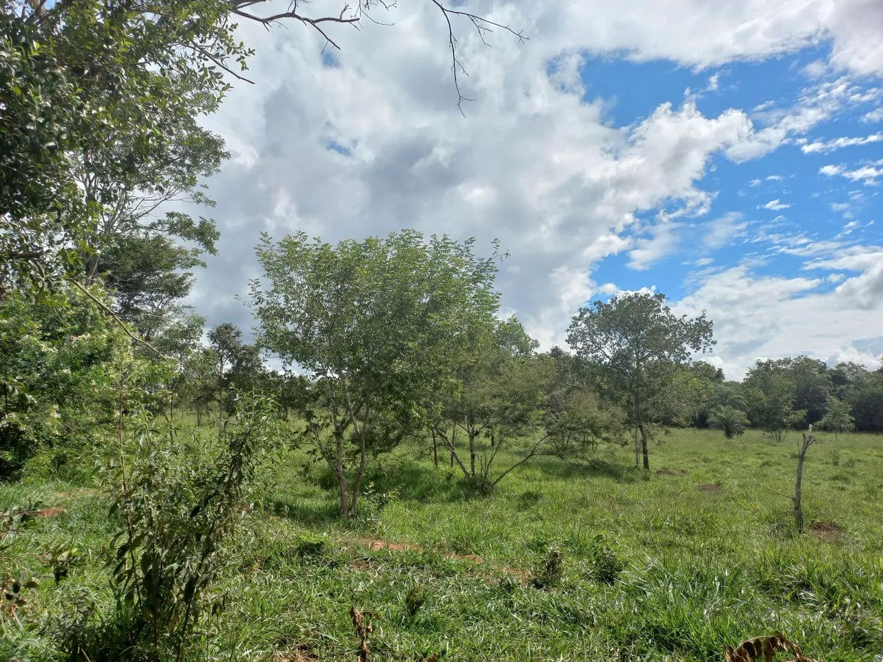 Terreno 40 hectares em Funilândia MG  - Foto 5