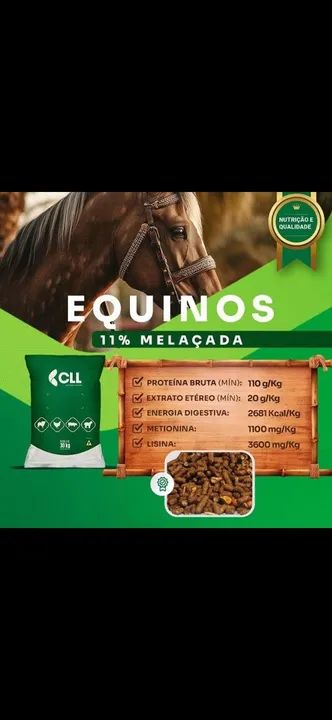 Ração de qualidade, preço especial.  - Foto 3