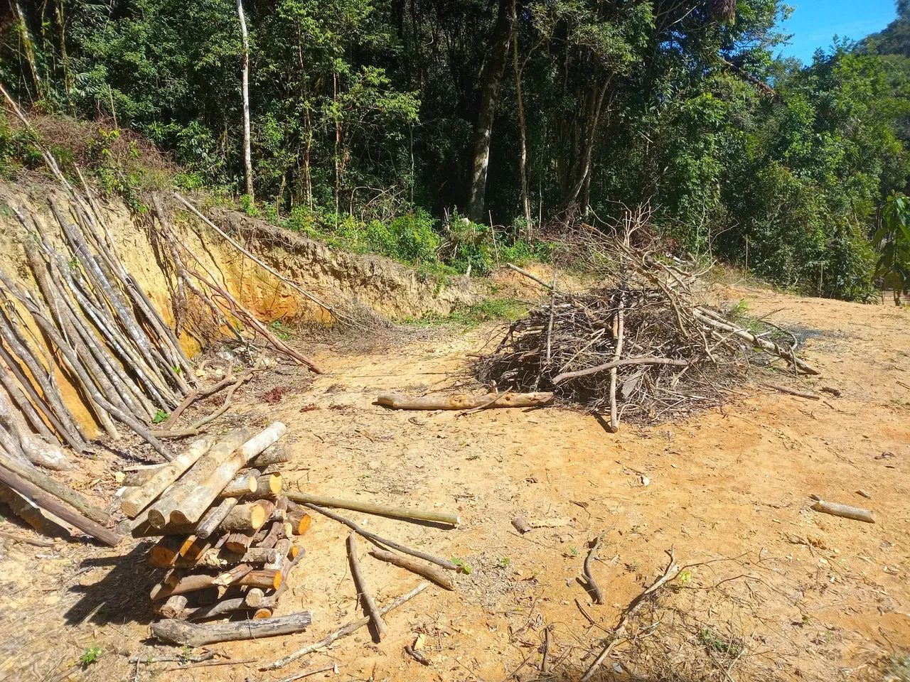 Chacara campina grande do sul - Foto 7