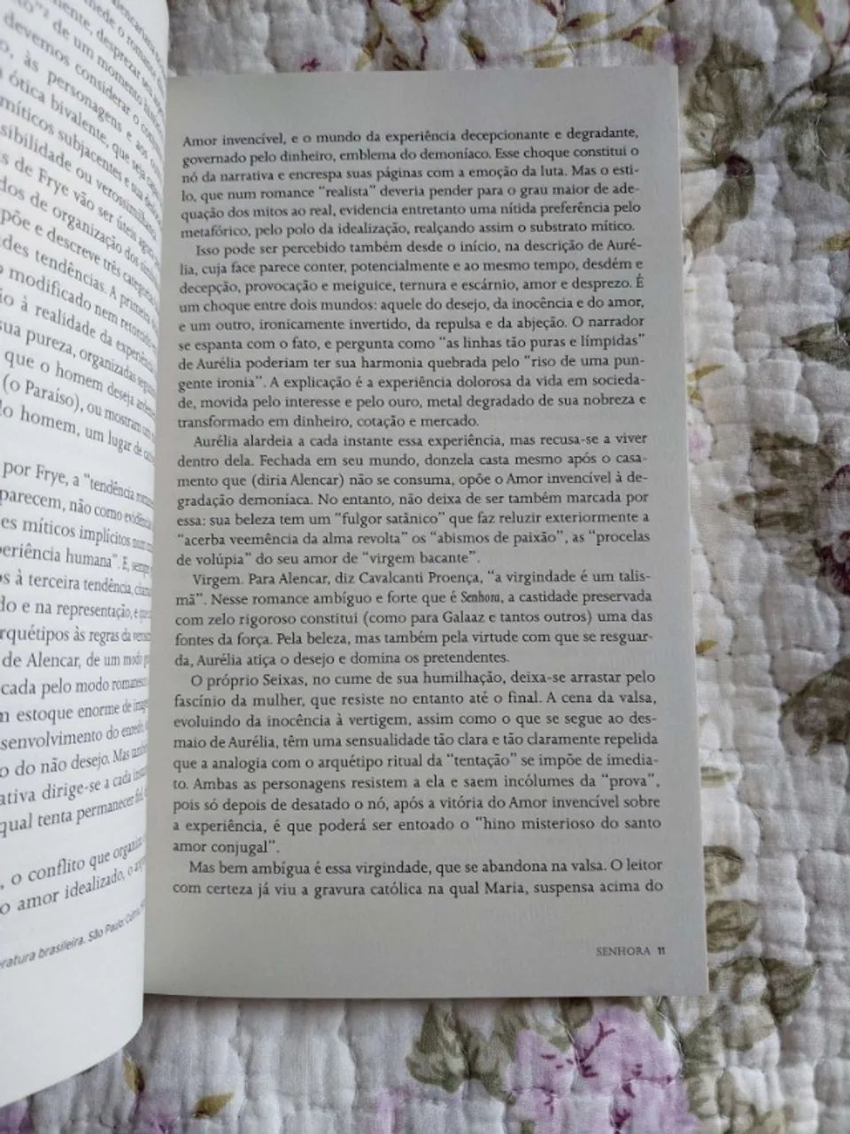 Livro e quadrinho - Senhora - Foto 4