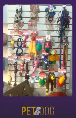 Loja Petshop Completa - Foto 4