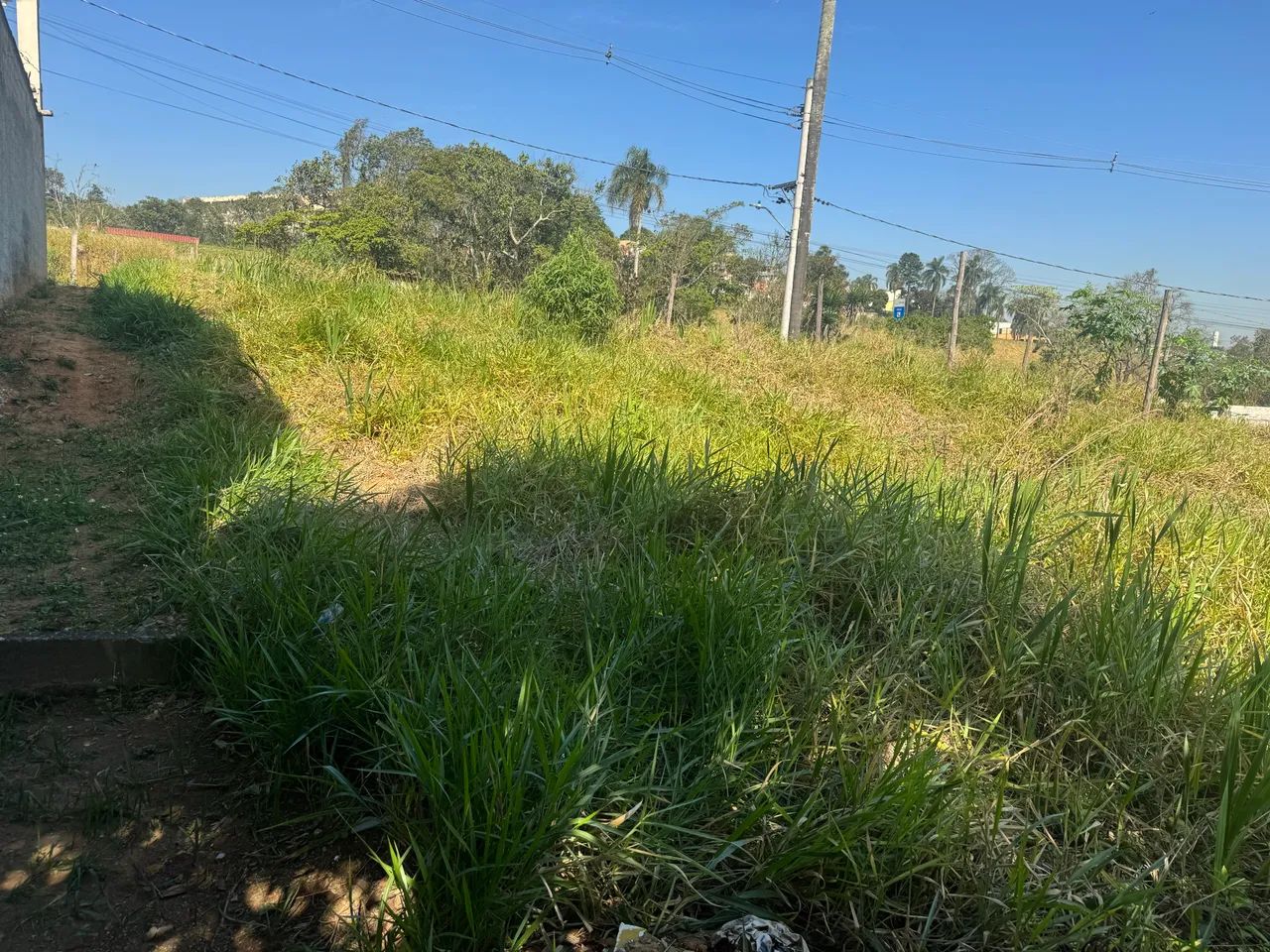 Terreno jd crispin proximo supermercado barbosa - Foto 4