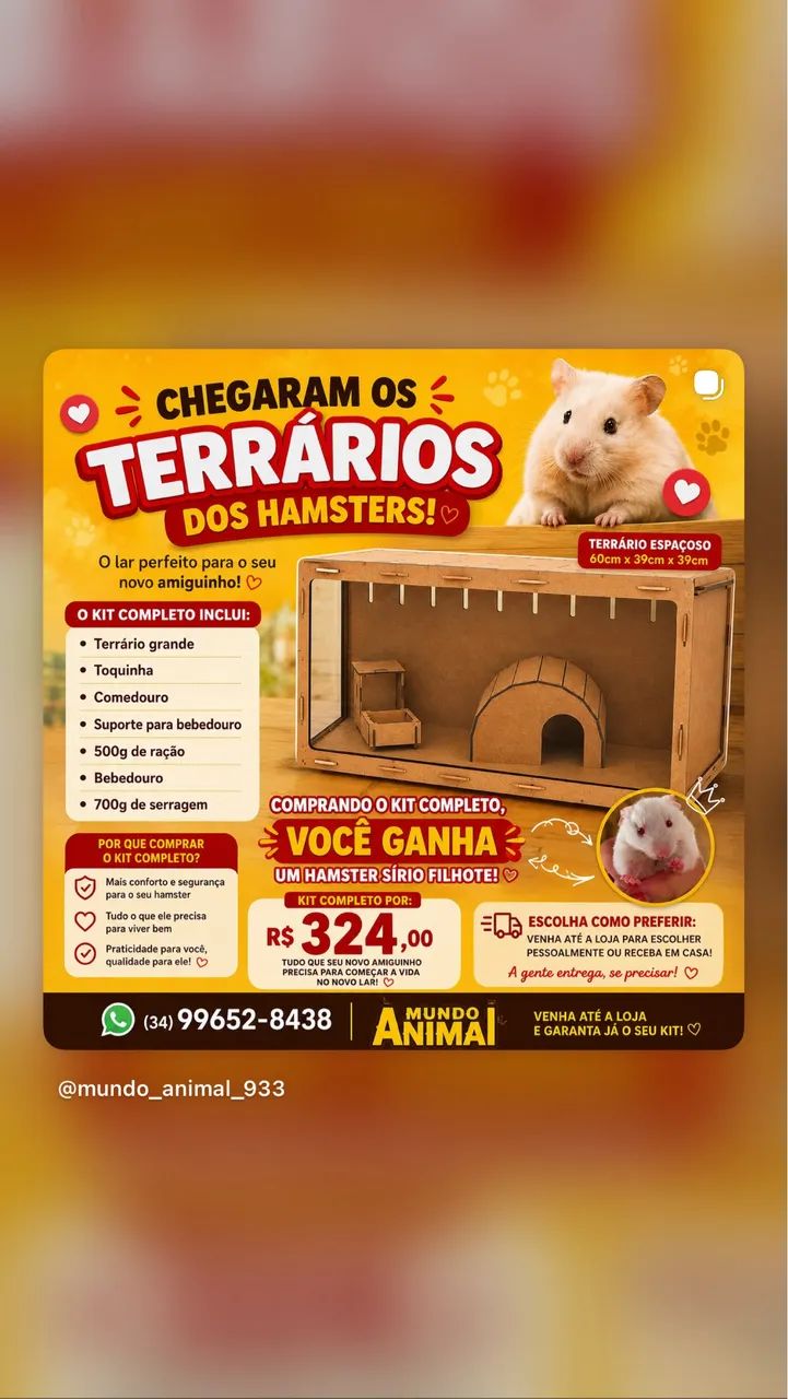 Hamster sírio de GRAÇA na compra do kit completo 