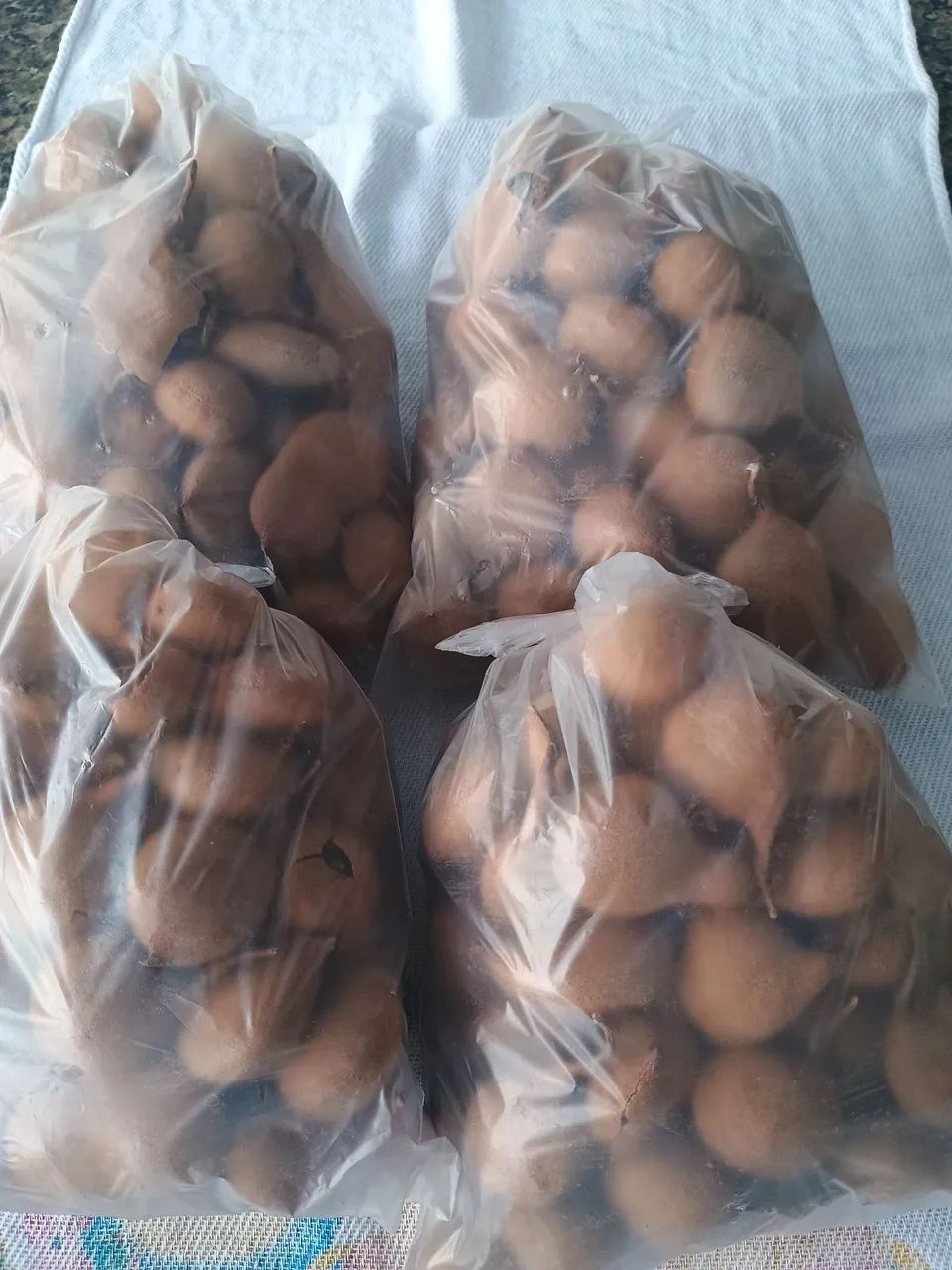 Tamarino  - Foto 2