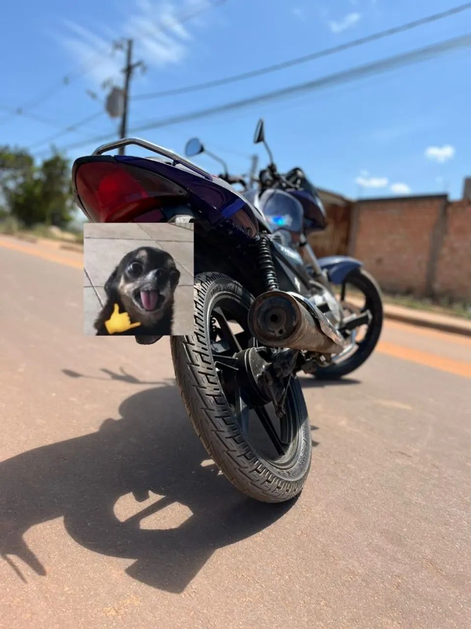Venda - Foto 2