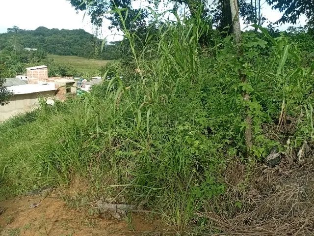 Terreno bom e próximo ao Novo Atacarejo Curado  - Foto 3