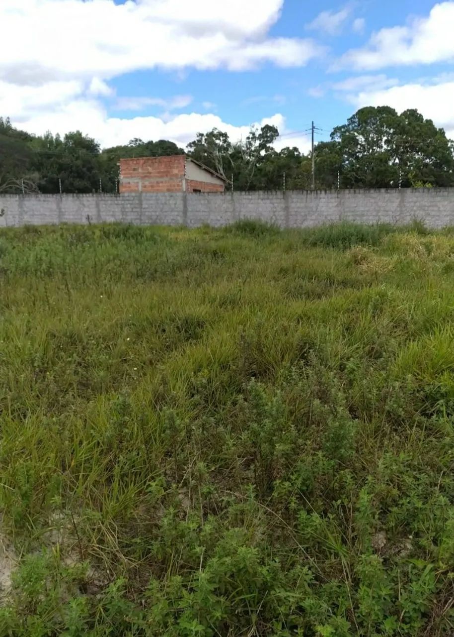 Vendo lote Alagoinhas - Ba - Foto 3