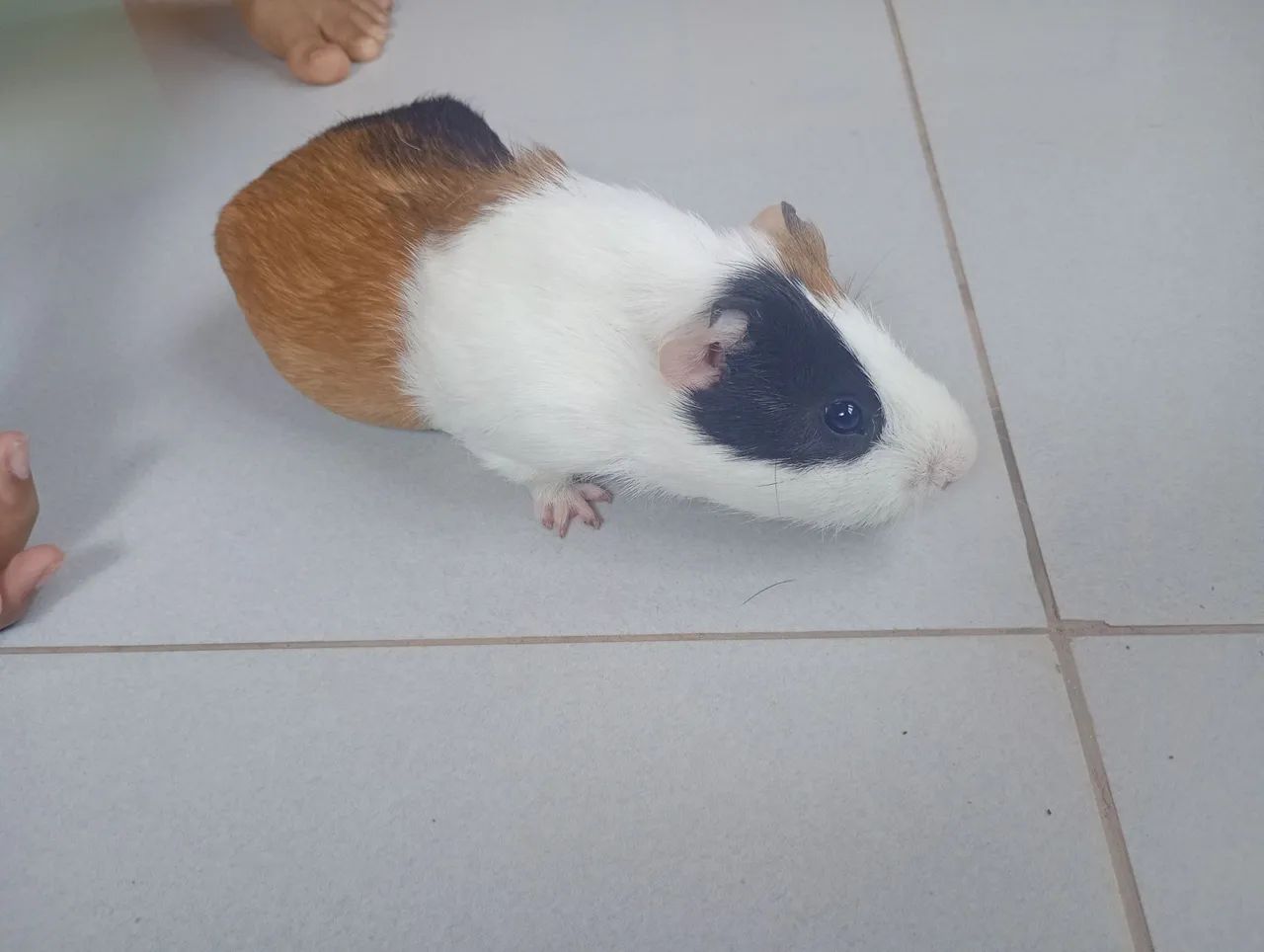 Doação ? - Foto 3