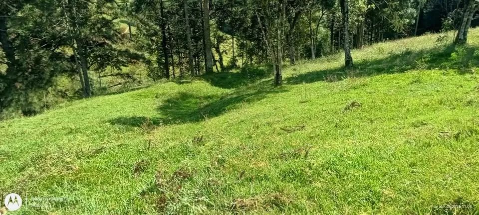 Vende-se terreno de 28.892 m² em Alfredo Wagner, SC - Foto 3