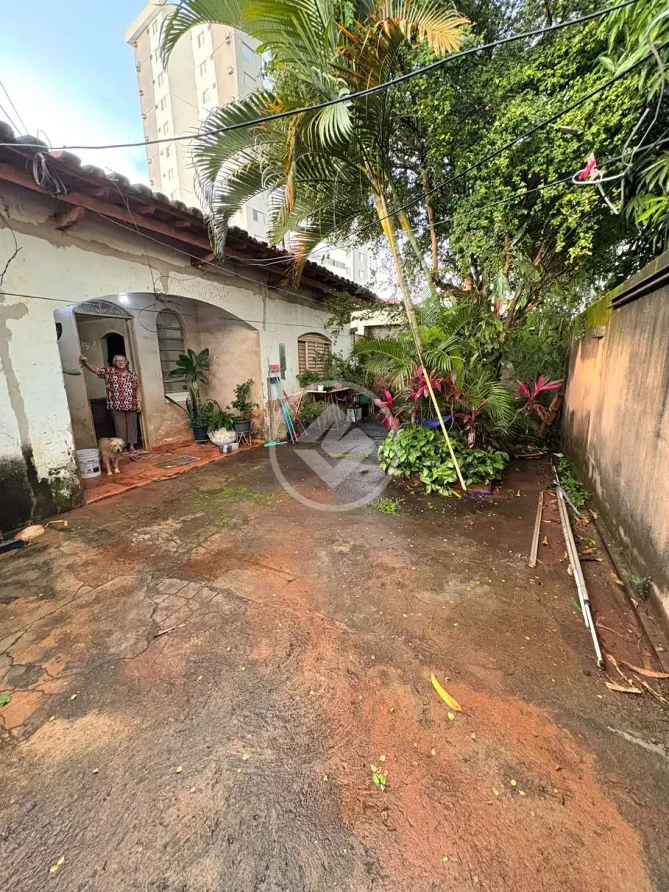 Lote Residencial 388 m2 | Parque Amazonas codigo: 267321 - Foto 2