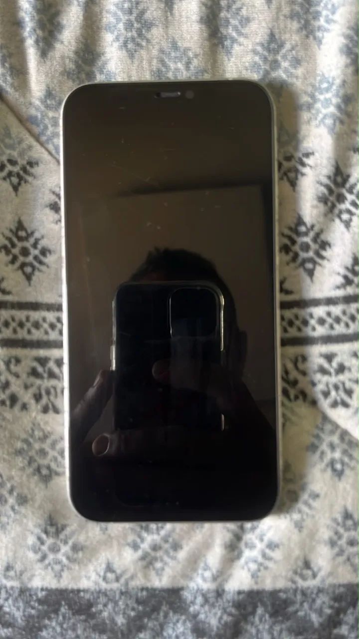 iPhone 12 normal