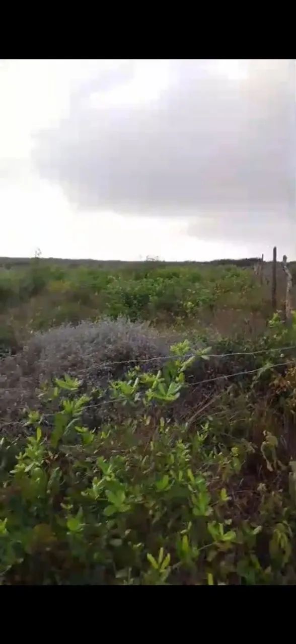 Terreno em Barreirinhas  - Foto 2