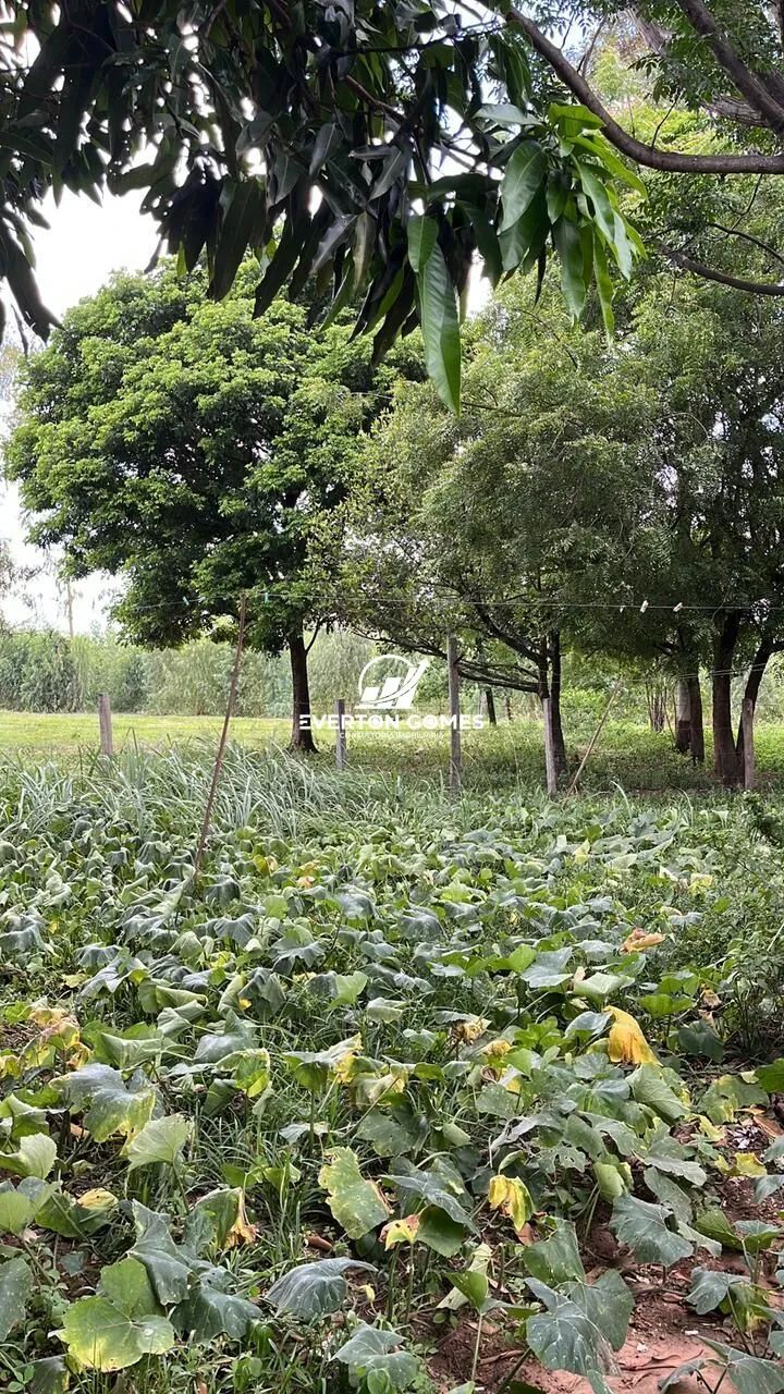 Sítio em Área Rural de Mirassol a 500 metros do Asfalto, Mirassol/SP - Foto 8