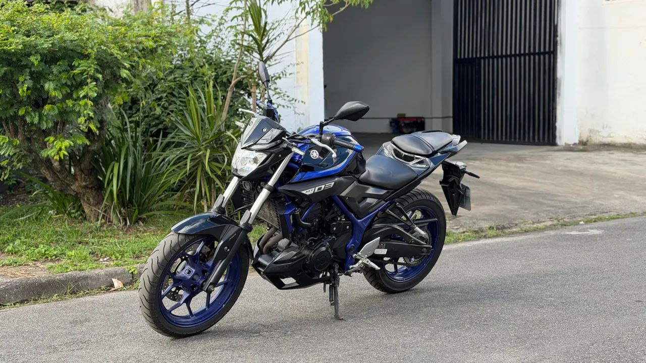 Mt 03 