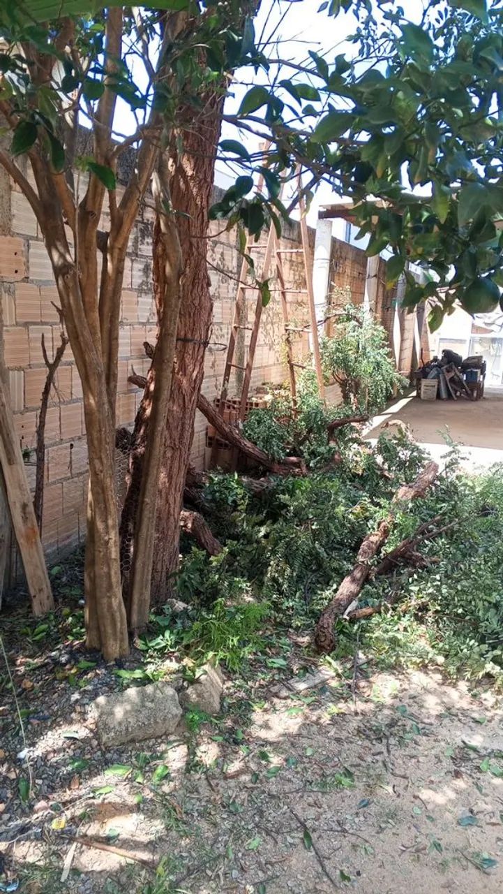 Remoção de entulhos. - Foto 3