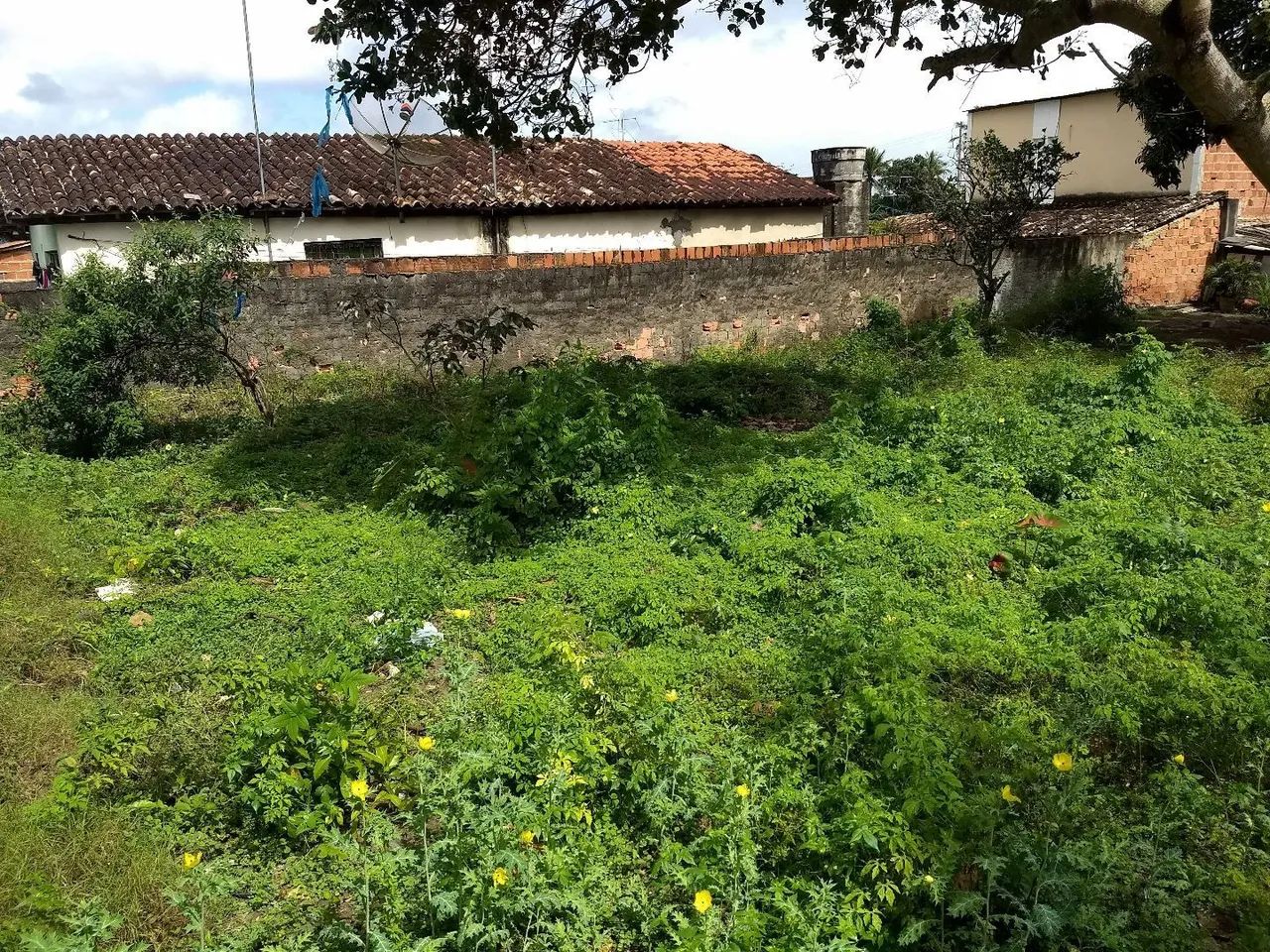 Vendo terreno - Foto 3