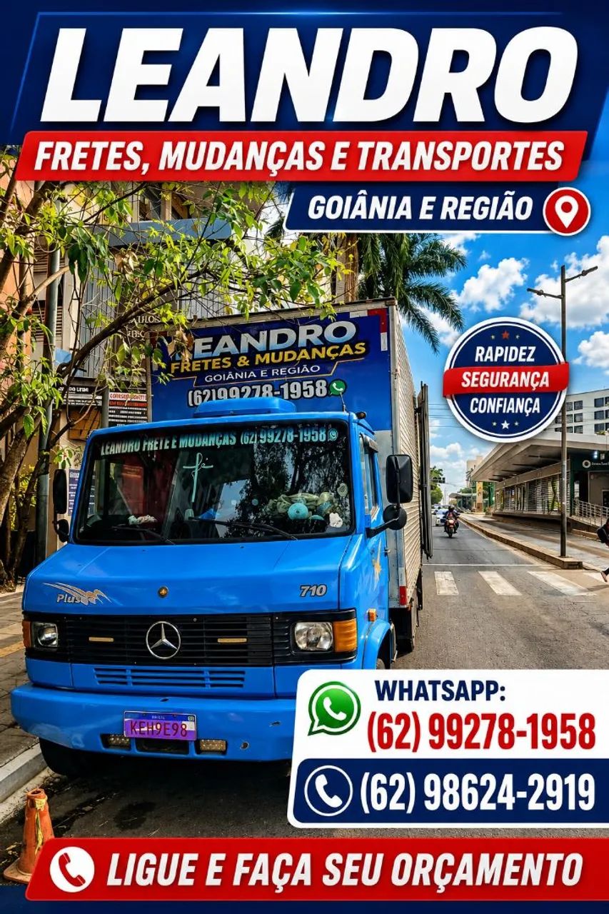 Mudanças em Goiânia Leandro  - Foto 4