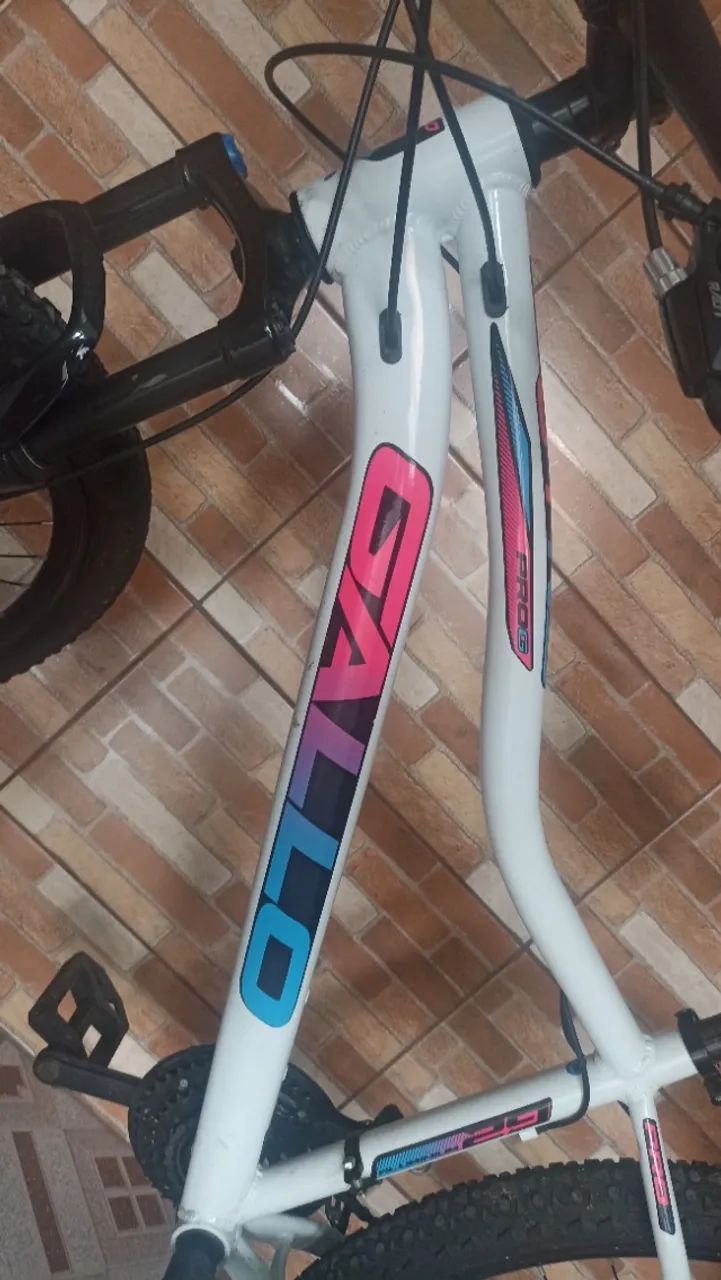 Bicicleta65573796449793121