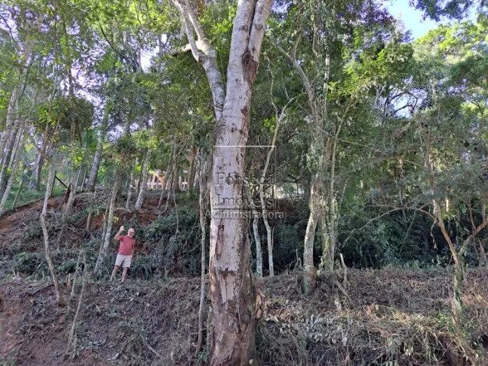 PETRóPOLIS - Terreno Padrão - Nogueira - Foto 2