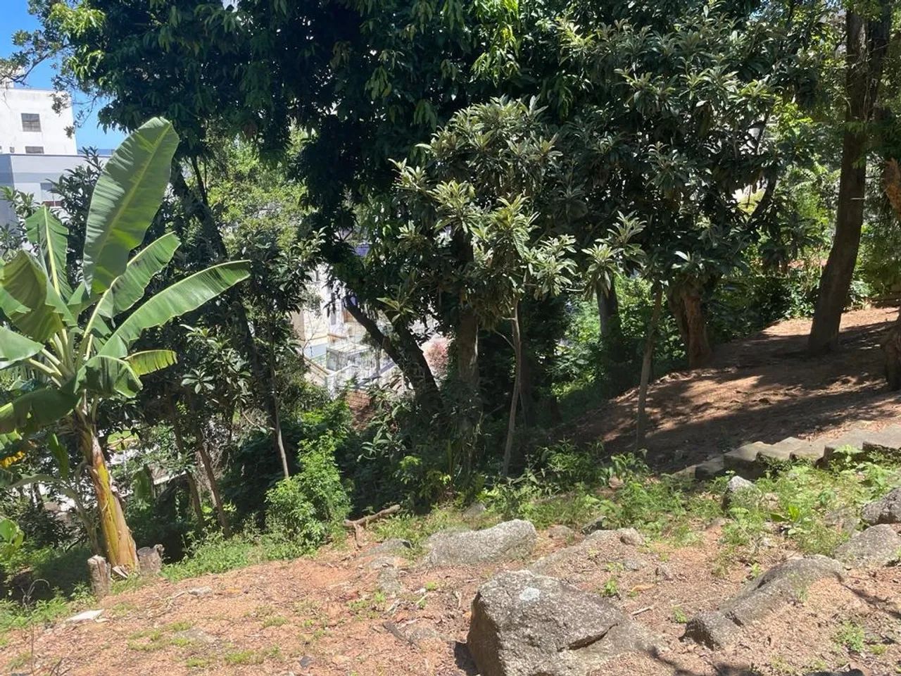 Terreno de 1427.8m² no bairro Coqueiros - Foto 2