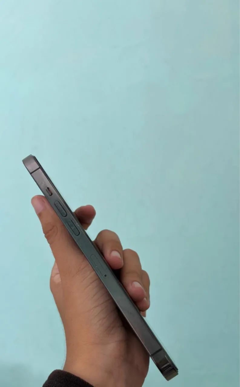 12 Pro Max 256Gb - Foto 2