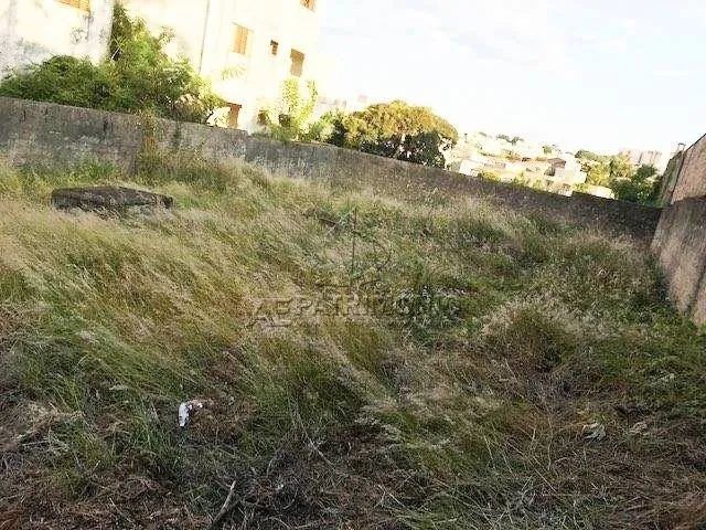 TERRENO,0 Dormitorio(s) bairro Europa - Foto 3