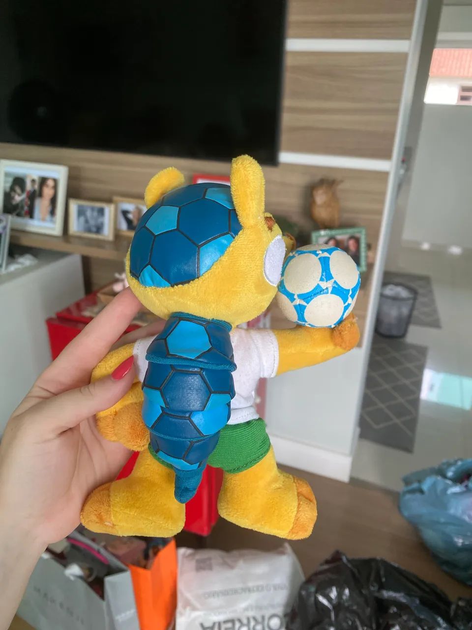 Fuleco Copa do Brasil 2014 - Foto 2
